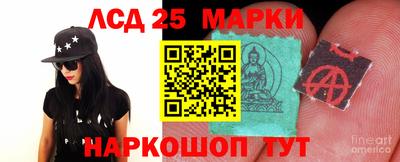 Альфа ПВП Дубна