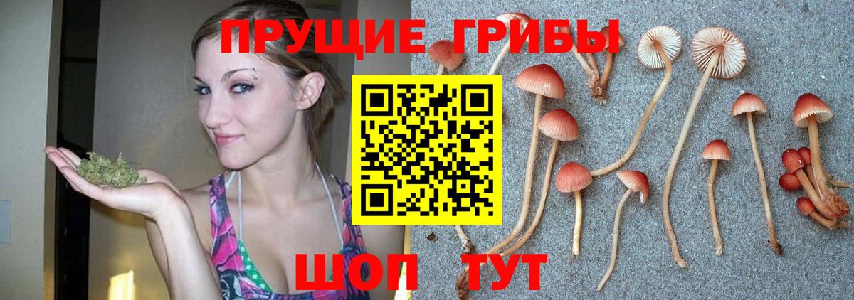 Галлюциногенные грибы MAGIC MUSHROOMS  Галлюциногенные грибы Cubensis  Сибай  Вход с VPN 