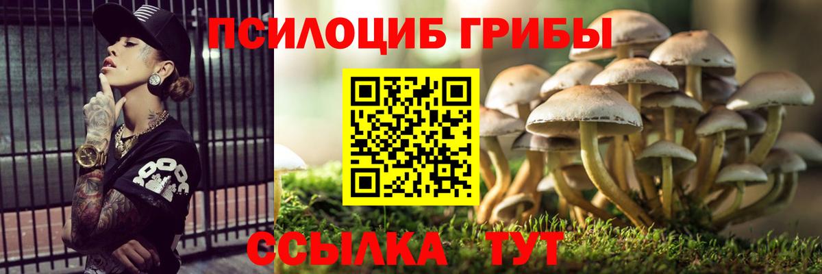 Галлюциногенные грибы Cubensis Сибай